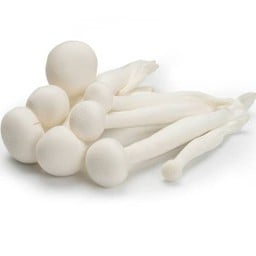 เห็ดชิเมจิ