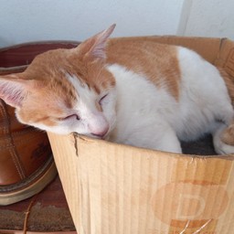 ครัวราชบุรี