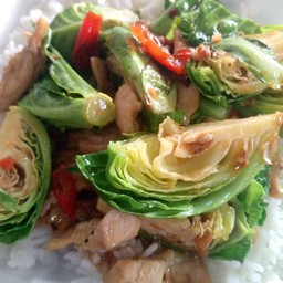 ผัดผักแขนงน้ำมันหอย