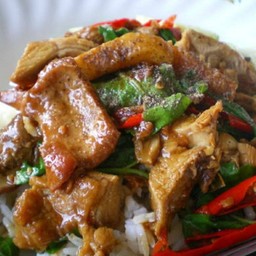 ข้าวกระเพราเป็ดย่าง