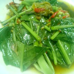 ผัดคะน้าน้ำมันหอย