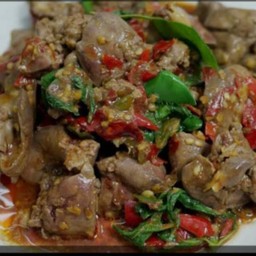 กะเพราบ้านตึกในเมือง