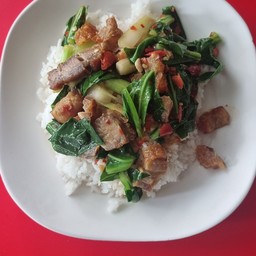 คะน้าหมูกรอบราดข้าว