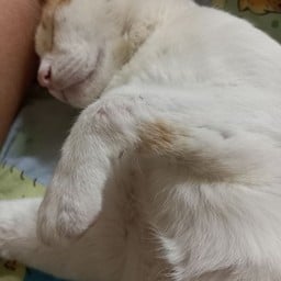 ครัวราชบุรี
