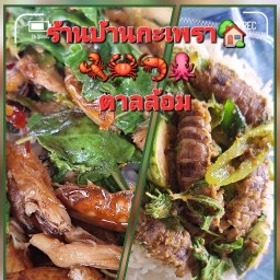 ร้านบ้านกะเพราตาลล้อม