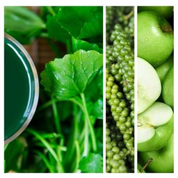 Longevity and Memory 100% Fruit & Vegetable Juice