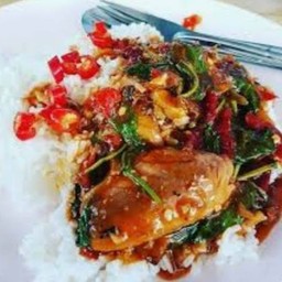 ข้าวกะเพราปลากะป๋อง