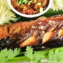 ปลาดุกย่าง