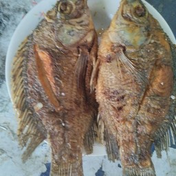 ปลานิลทอด 1 ตัว