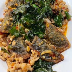 กะเพรากรอบไข่เยี่ยวม้าหมูสับ(เฉพาะกับ)