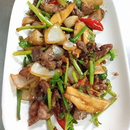 กวาง(เก้ง)ผัดน้ำมันหอย