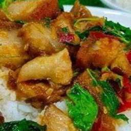กระเพราหมูกรอบราดข้าว