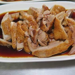 เป็ดจาน เล็ก