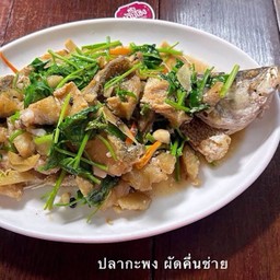 ปลากะพง คึ่นช่าย (ตัว)