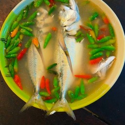 ปลาทู ต้มมะนาว