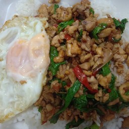 กระเพราอกไก่สับราดข้าว