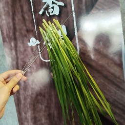 กุ้ยช่าย 韭菜