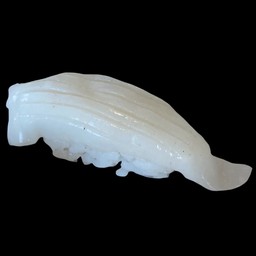 ซูชิอิกะ