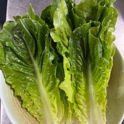 ผักกาดคอส 70 กรัม