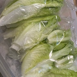 เบบี้ยอดอ่อนผักกาดหอมนอก