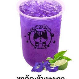 ชาอัญชันมะนาว