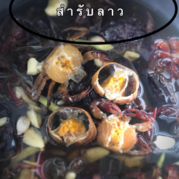 ปูนา