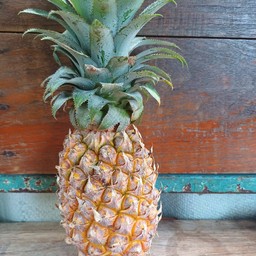 สัปรดปั่น