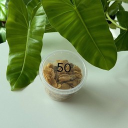 คอร์นเฟล็กซ์