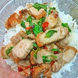 ข้าวราดกะเพราหมูกรอบ