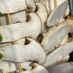 น้องเห็ดออริจิ