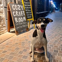 น้องแม่วัว