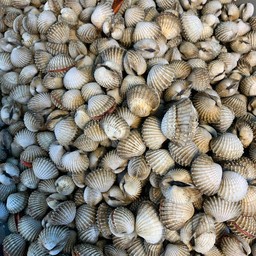 หอยแครงลวก  ครึ่งกิโล