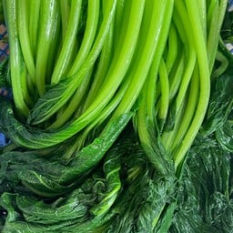 กวางตุ้ง