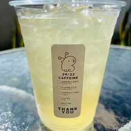 Honey & Lemon (น้ำผึ้ง มะนาว)