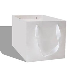 Paper bag
