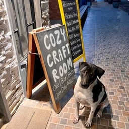 น้องลูกวัว