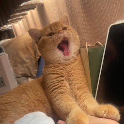 ค่าขนม CEO หมูแจ๋ว