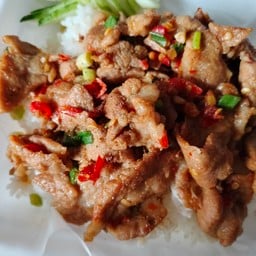 ข้าวราดหมูชิ้นคั่วพริกเกลือ