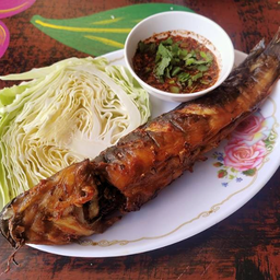 ปลาดุกย่าง