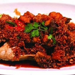 ปลาเจี๋ยนตะไคร้