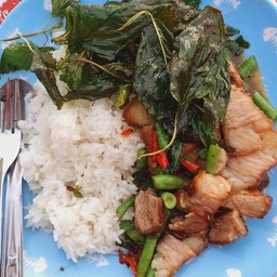 ข้าวหมูกรอบกะเพรากรอบ