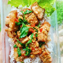 กะเพรา หมูกรอบ ราดข้าว
