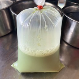 นมสดชาเขียว
