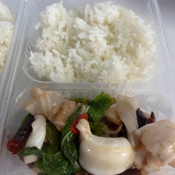 กระเพราคางหมึก