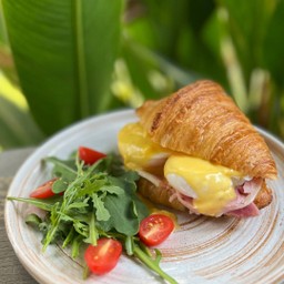 เอ้กเบเนดิก