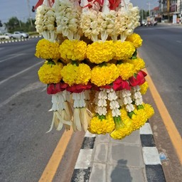 ทิวลี่ ตำครกแตก