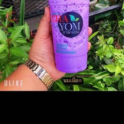 นมเผือก