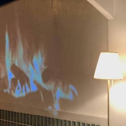 Homesig โฮมซิกส์