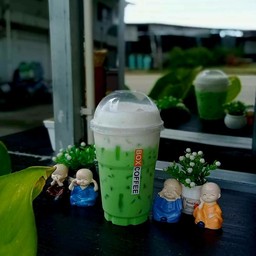 Cantaloupe Milk นมสดแคนตาลูป