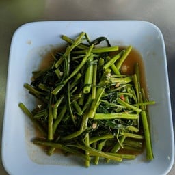 ผักบุ้งไฟแดง(กับ)